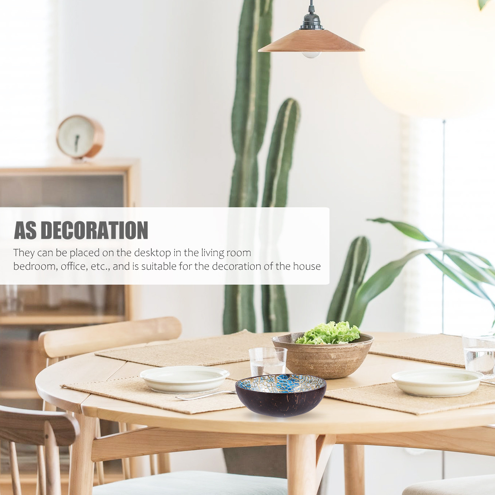 2Pcs Coconut Shell Bowl Sustai - Sustainable Living Homes review and price